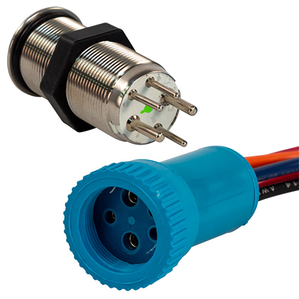 Bluewater 19mm Push Button Switch OffOnOn Double Momentary Contact BlueGreenRed LED 4 Lead 905721234
