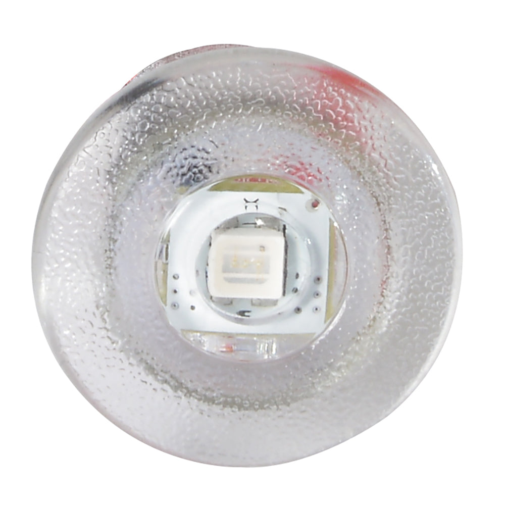 Lumitec Newt Livewell Courtesy Light White Dimming 101084