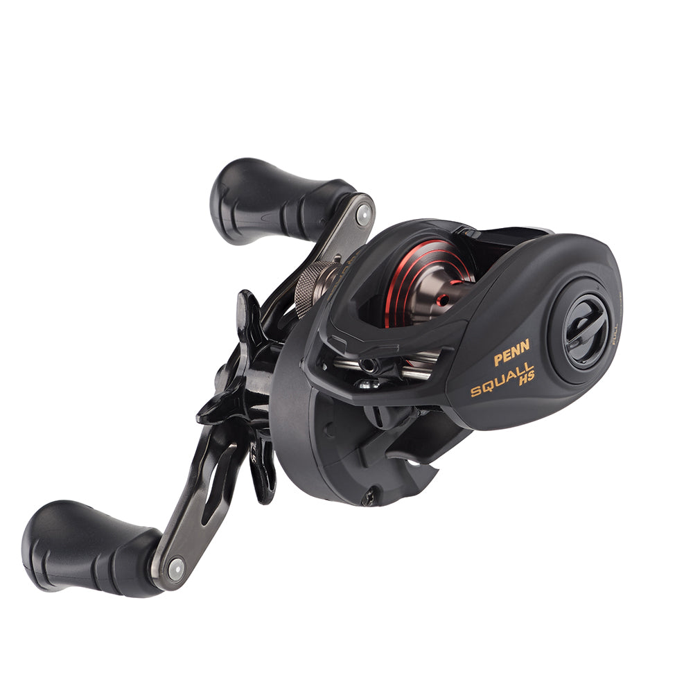 PENN Squall Low Profile Reel SQL200LPHS 1525502