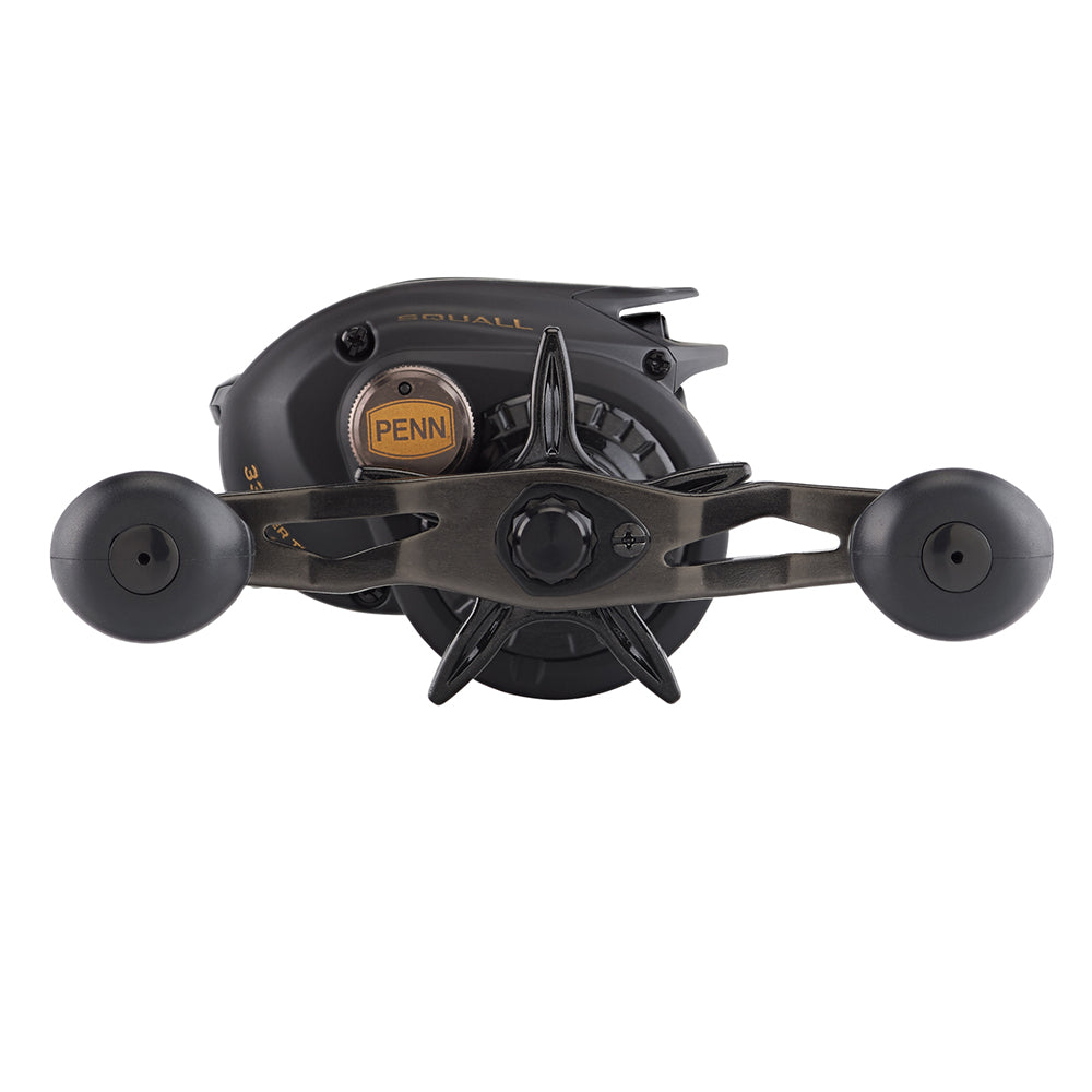 PENN Squall Low Profile Reel SQL200LPHS 1525502