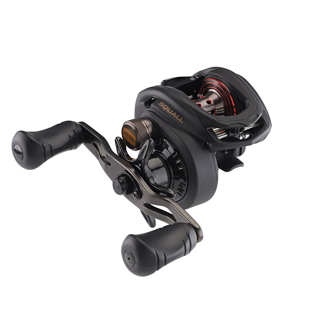 PENN Squall Low Profile Reel SQL200LPHS 1525502