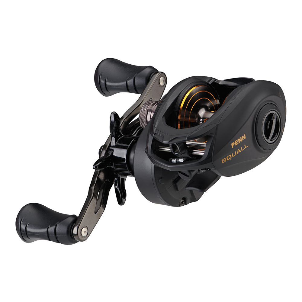 PENN Squall Low Profile Reel SQL300LP 1525504