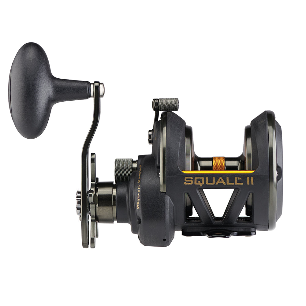 PENN Squall II Star Drag Conventional Reel SQLII25NSD 1522169