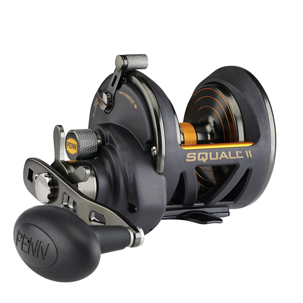 PENN Squall II Star Drag Conventional Reel SQLII25NSD 1522169