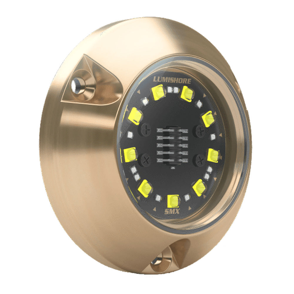 Lumishore ECLIPSE SMX24 Single Light Surface Mount Underwater Light  BlueWhite 0100450400