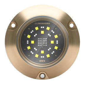 Lumishore ECLIPSE SMX54 Single Surface Mount Underwater  Light BlueWhite 0100450500