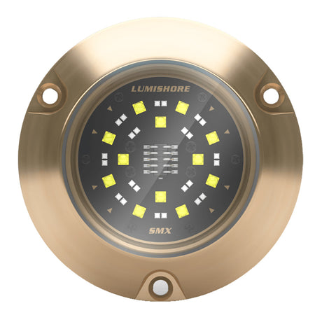 Lumishore ECLIPSE SMX54 Single Surface Mount Underwater  Light BlueWhite 0100450500