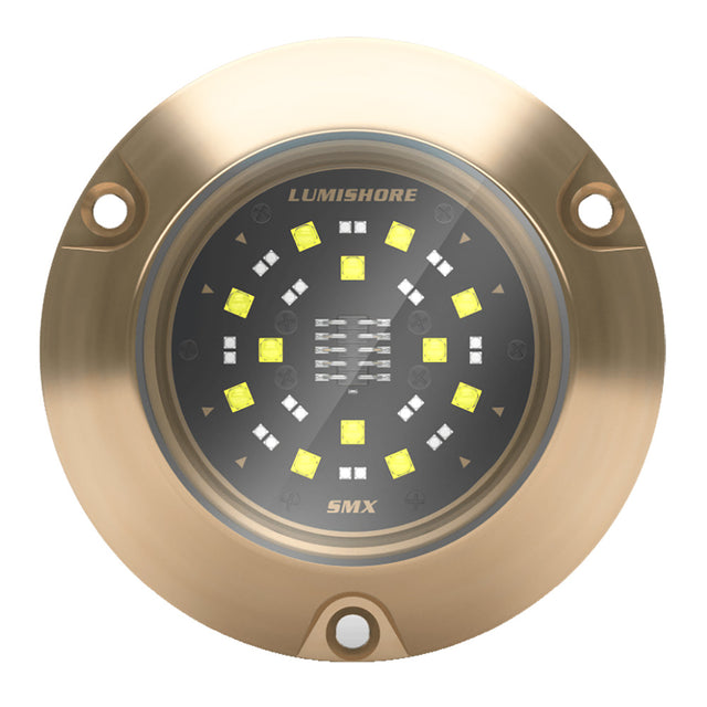 Lumishore ECLIPSE SMX54 Single Surface Mount Underwater  Light BlueWhite 0100450500