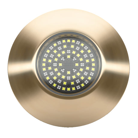 Lumishore SUPRA THX804 ThruHull Light  Driver 0100451800