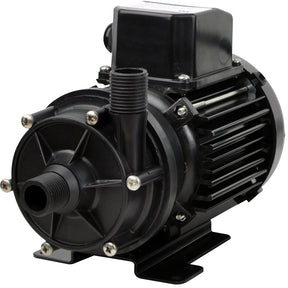 Jabsco Mag Drive Centrifugal Pump  11GPM  110V AC 436977