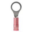 Ancor 2218 AWG  14 Nylon Ring Terminal  25Pack 210204