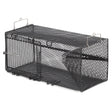 Frabill Black Pinfish Rectangular Trap  18 x 12 x 8 PMC1264