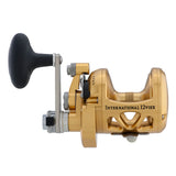 PENN INT16VISX International 16VISX Reel  Gold 1370777
