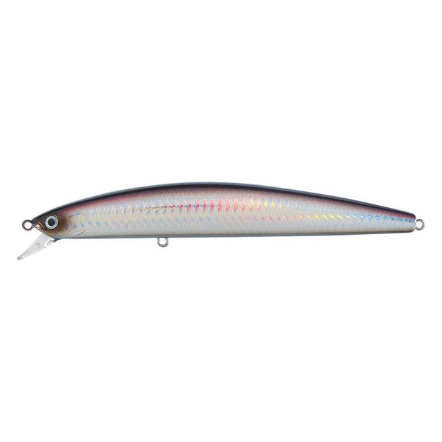 Daiwa Salt Pro Minnow  6  Floating  Purple Back Silver DSPM15F18