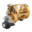 PENN International 16 VIS Reel INT16VIS  Gold 1370776